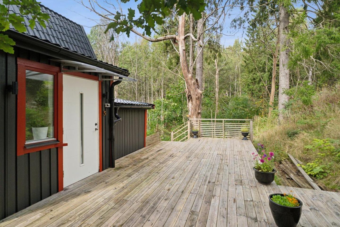 The Little Oasis In